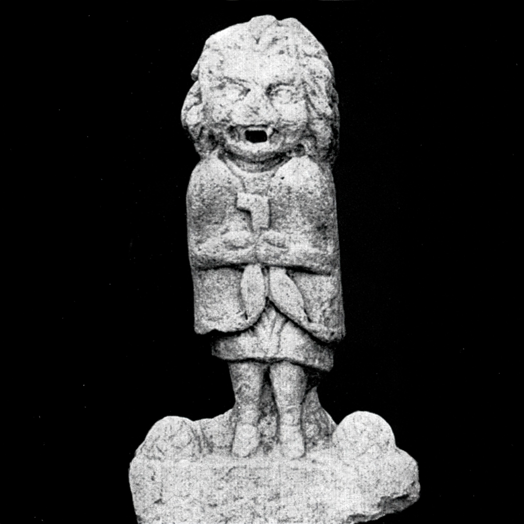 I see pineapples everywhere