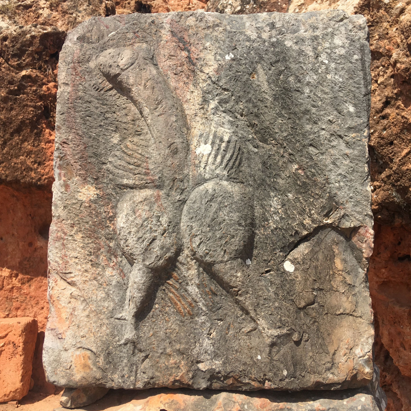 Phallus cock from Tiddis Mithraeum