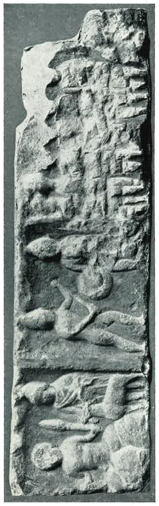 CIMRM 1301 CIMRM 1301