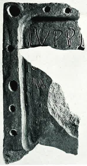 CIMRM 1419-2