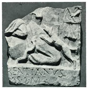 Tauroctony relief fragment from Pregrade