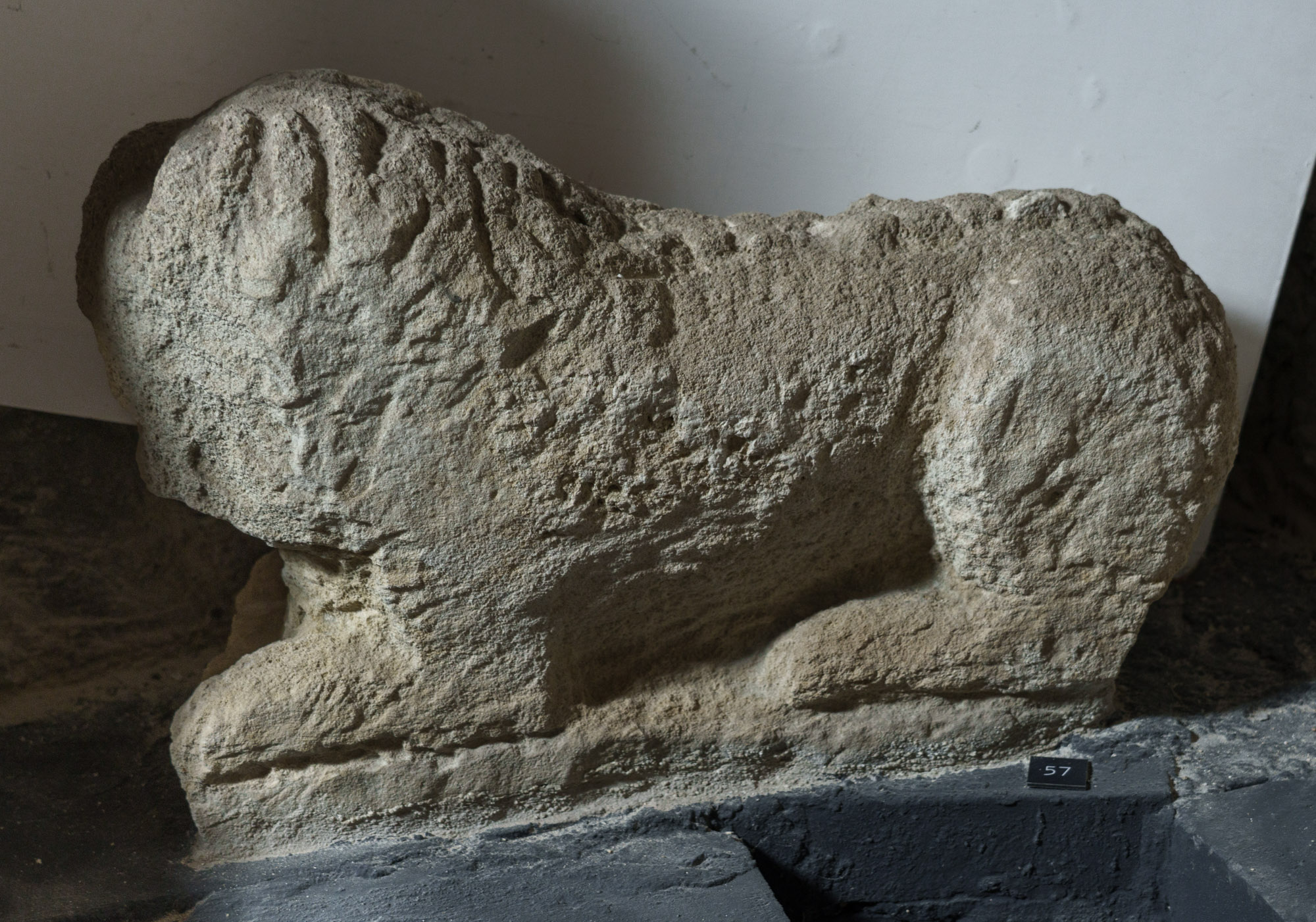 Limestone lions from the Mithraeum of Fertőrákos.
