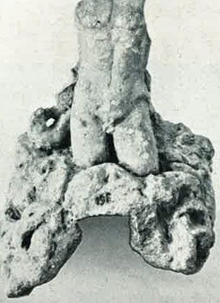 CIMRM 1669 CIMRM 1669