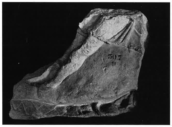 Fragmentary tauroctony from Solin.