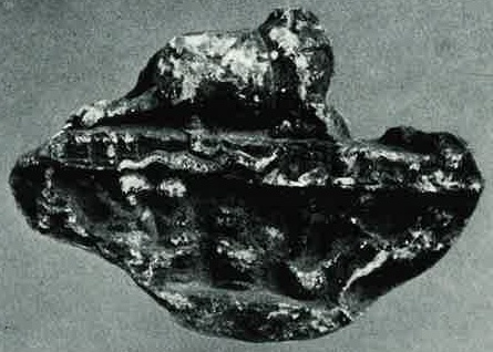 Tauroctony with belted bull from Sarmizegetusa