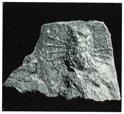 Vermaseren's Corpus CIMRM 90