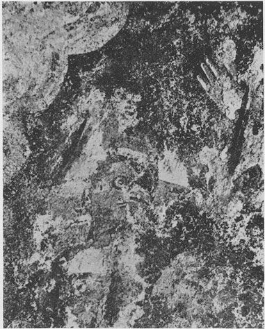 CIMRM 483