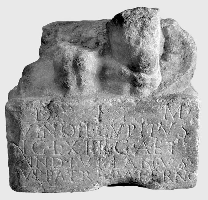 Petrogeny from Petronell.