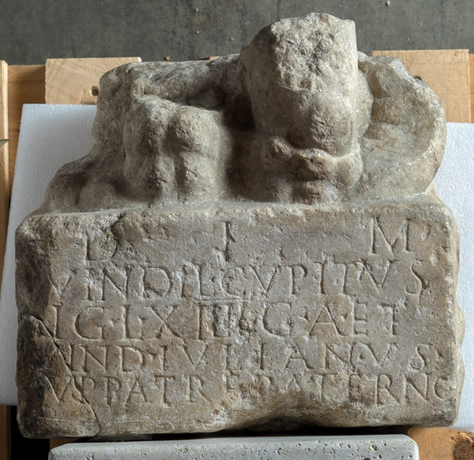 Petrogeny from Petronell.