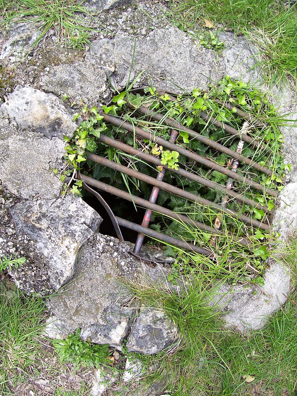 The water well in worship-cave of Mithras, Duino.