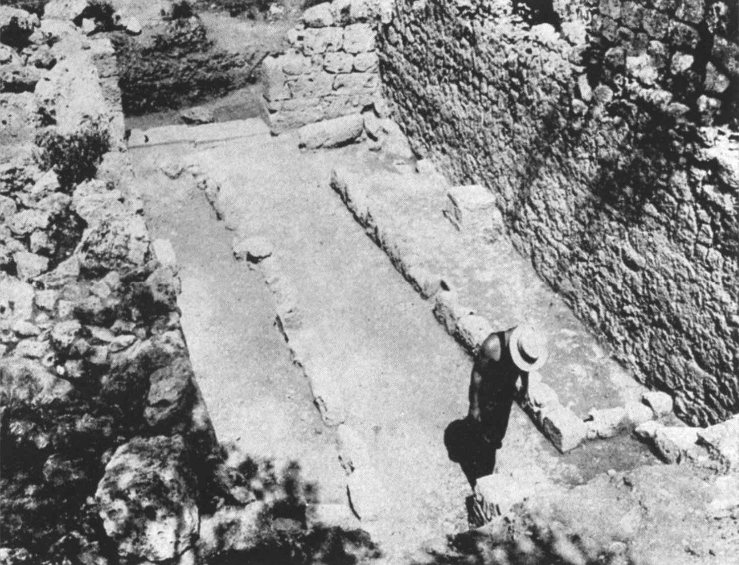 General view Mitreo di Cosa