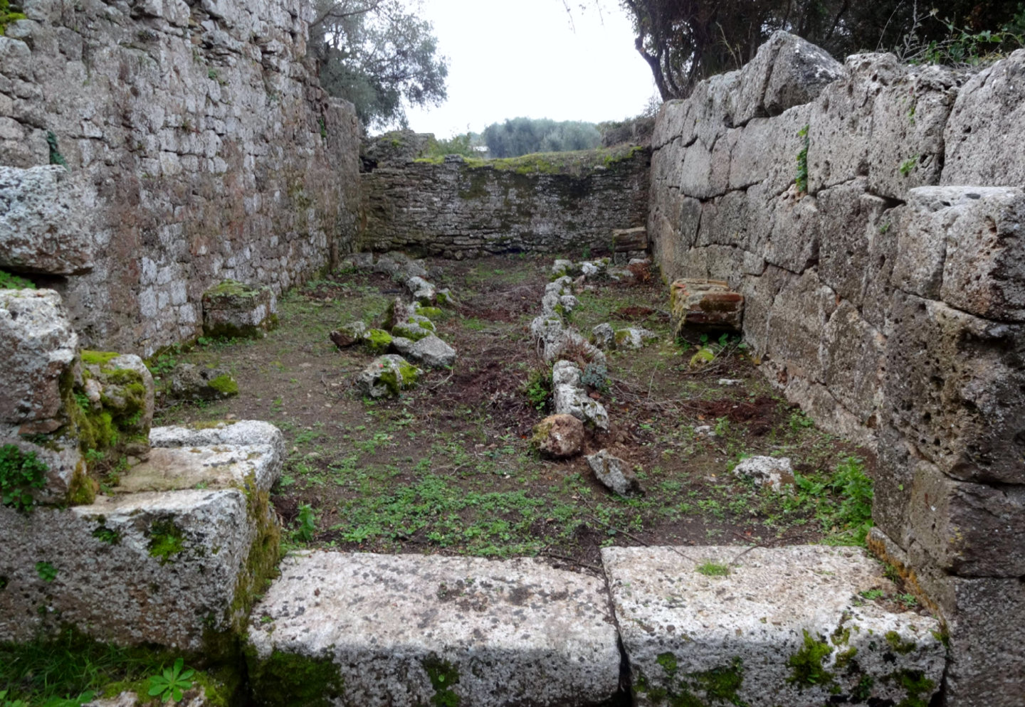 General view Mitreo di Cosa