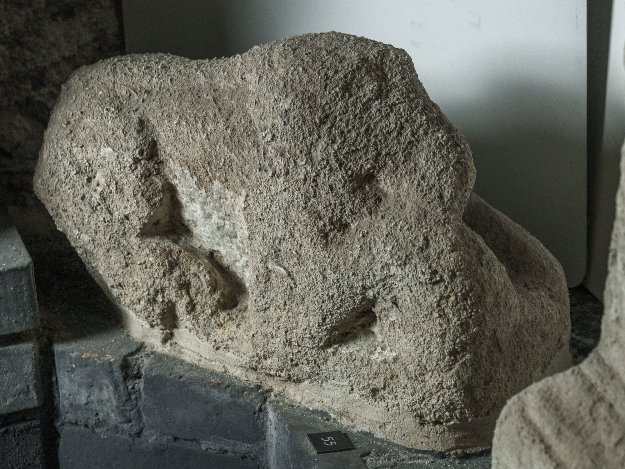 Limestone lions from the Mithraeum of Fertőrákos.