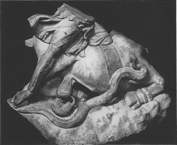 Fragment of tauroctony from S. Giovanni.