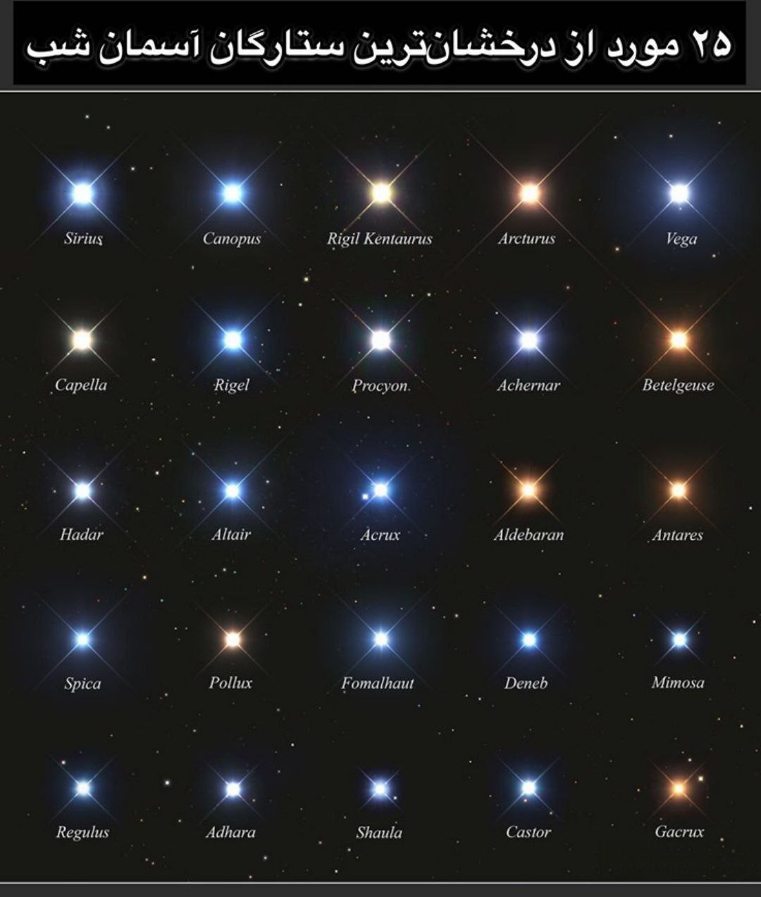 🔘 The shining stars of the night.